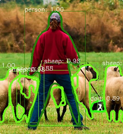Image segmentation example 2